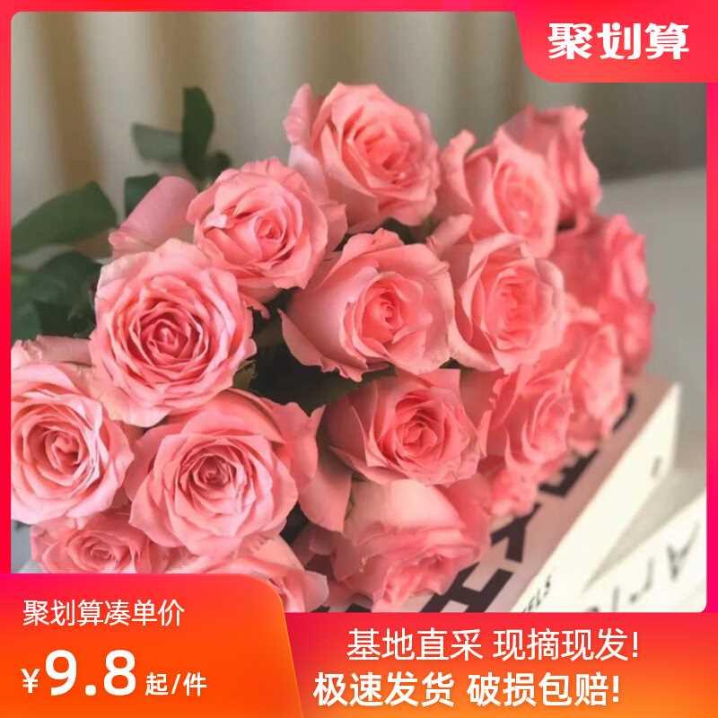 玫瑰花鲜花云南昆明基地直发新鲜批直发百合鲜切花束向日葵花瓶插 鲜花速递/花卉仿真/绿植园艺 花材 原图主图