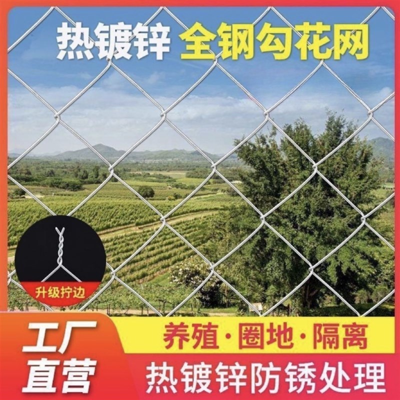 热镀锌铁丝网围栏网钢丝网勾花网养殖鸡鸭牛羊鱼塘果园隔离防护网
