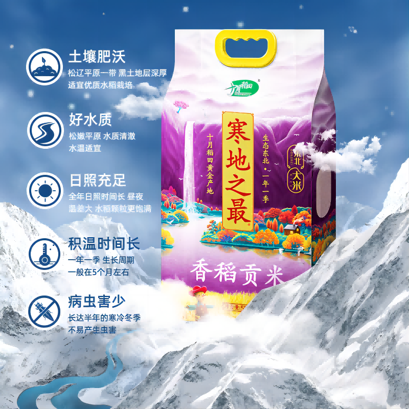 【箱装】十月稻田大米香稻贡米5kg*2袋