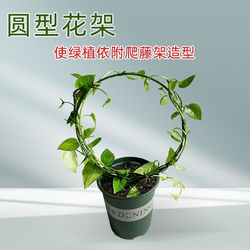 室内铁艺圆形心形雪莹绿萝山乌龟甲龙铁线莲花架爬藤架子植物支架