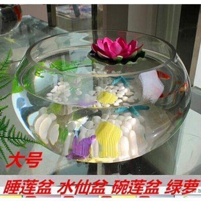 乌龟水碗莲盆花盆器鱼缸大号透明盆睡莲皿水培仙玻璃花瓶水养植物