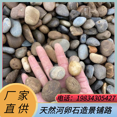 河卵石变电站用鹅卵石石子鹅卵石滤料河滩石园林绿化用河卵石