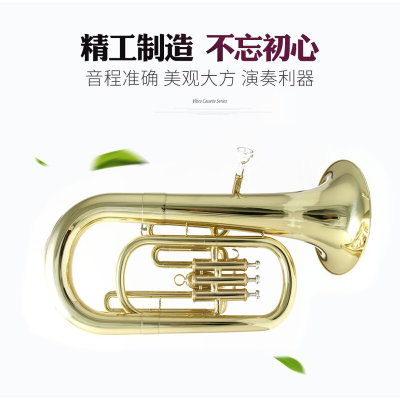 布莱斯特铜管乐器单排圆号次中音长号 上低音号抱号