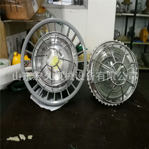 宏久销售DGS15/127L A 隔爆型LED圆形巷道灯15W