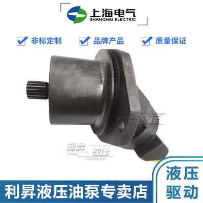 上海电气斜轴柱塞马达A2FE56/63/80/90/107/125/160W6.1VZL10PT20