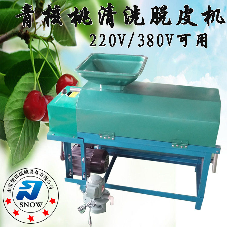 青核桃去皮机 破损率低的鲜核桃去皮机 家用卧式核桃脱壳扒壳设备