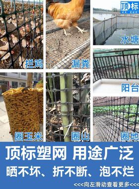 棚塑料网格防护养殖网网网鸡围栏防鸟大漏子养Q果园加厚粪围栏鸡