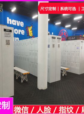 甘肃兰州智能雪板寄存架/手机共享寄存柜/车间V联网员工行李柜