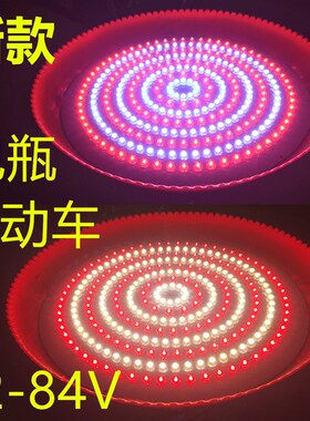 12V电瓶用熟食灯水果灯q卤肉卤菜灯48v60V72伏电动三轮车低压led