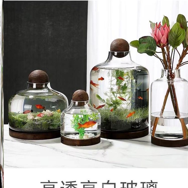 餐桌小鱼缸微景观生态鱼缸懒人办公室家用阳台造景创意圆形玻璃缸