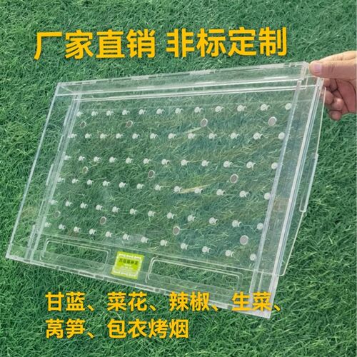 育苗盘播种机播种神器  穴播种器  漂浮盘穴播种器  点籽神器!