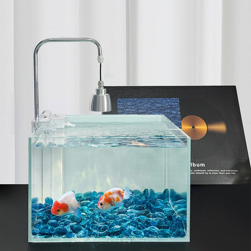 海洋风格兰寿波妞泰狮金鱼缸