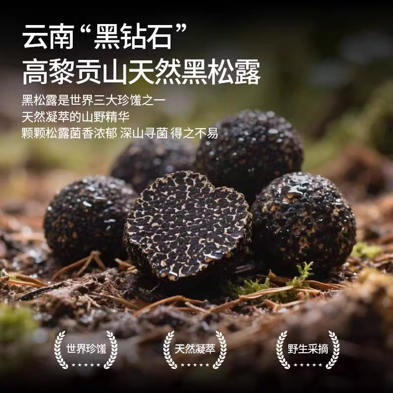 黑松露蘑菇酱拌意面炒饭牛排香菇酱百搭下饭调味酱黑松露酱大克数,传统滋补营养品,养生膏,淘宝优惠券,粉丝福利购,淘宝优惠卷