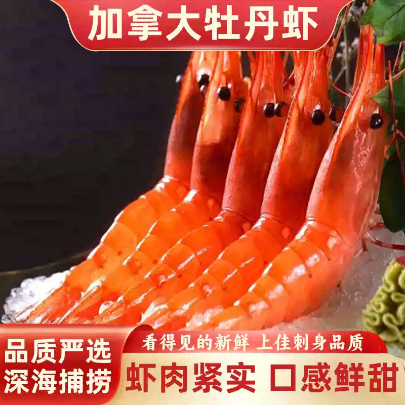 加拿大牡丹虾刺身品质日料虾甜虾图片