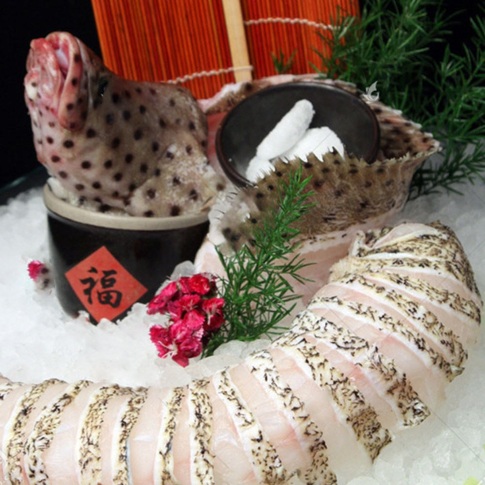 冷鲜海南南海老鼠斑 400-500g/条新鲜肉质肥美老鼠斑鱼海捕