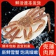 松叶蟹冰鲜速冻俄罗斯进口长角蟹鳕蟹大板蟹雪蟹生冻锁鲜海鲜水产
