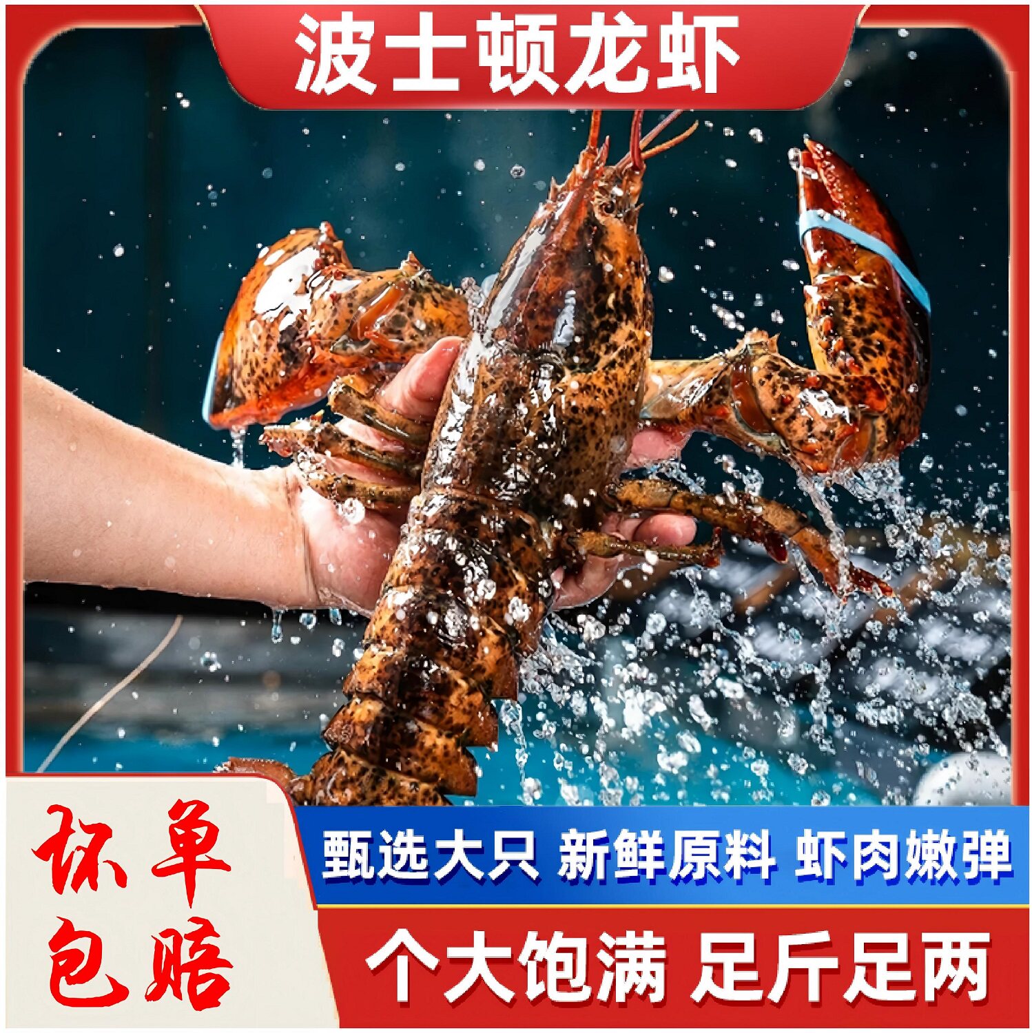 波士顿龙虾 加拿大进口活冻大波龙8斤  澳洲龙虾海鲜水产 青龙