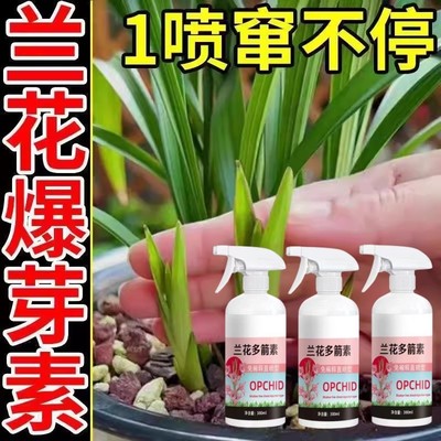 兰花多箭素兰花专用营养液催花延花期治黄叶专用液体肥浓缩