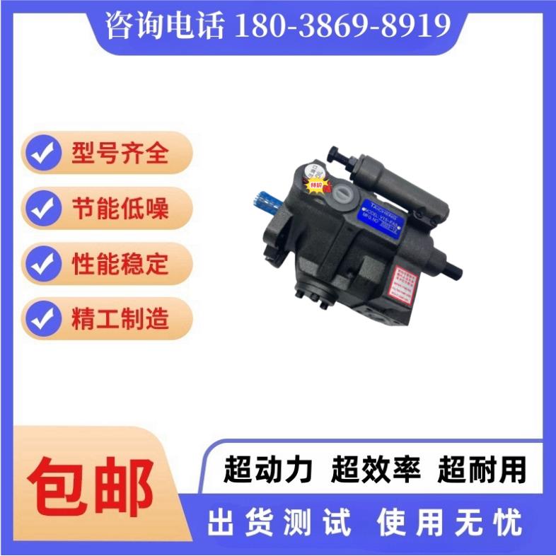 泰成TAICHENG 液压泵V15-FA3 V15A4R10X V23 V38柱塞油泵 液压泵