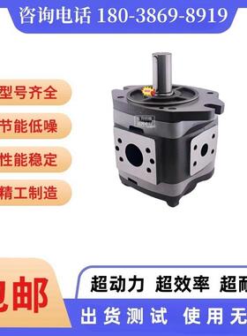 德国福伊特VOITH油泵 IPVP6/IPV6-64/80/100/125-101/601齿轮油泵