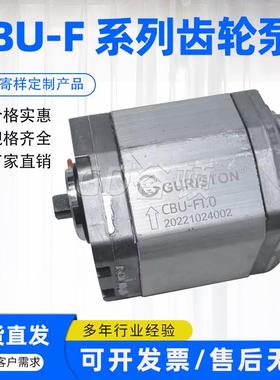 叉车齿轮油泵CBU-F110BL CBK-F120BL CBU-F1019 CBU-F1075液压泵