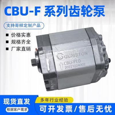 叉车齿轮油泵CBU-F110BL CBK-F120BL CBU-F1019 CBU-F1075液压泵