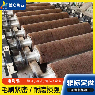 厂家直供工业机械设备毛刷辊 除锈清洗毛刷辊 玻璃尼龙丝除尘毛刷