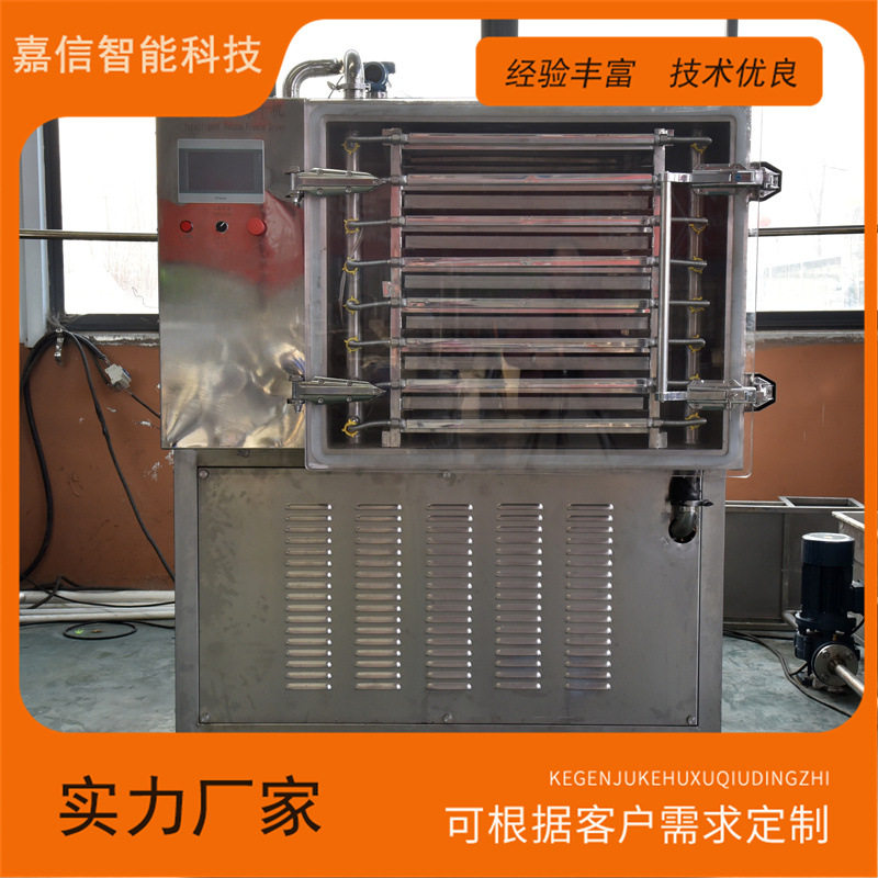 全自动不锈钢真空冻干机