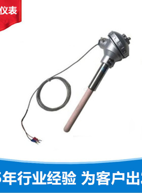 热电偶 S型WRP2-130高温1400度双支铂铑热电偶 铂铑热电偶