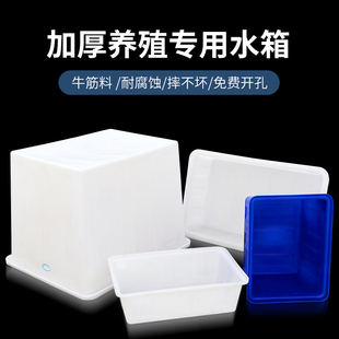 19EK加厚牛筋水箱塑料桶长方形大容量养鱼卖鱼养殖水箱家用储水桶