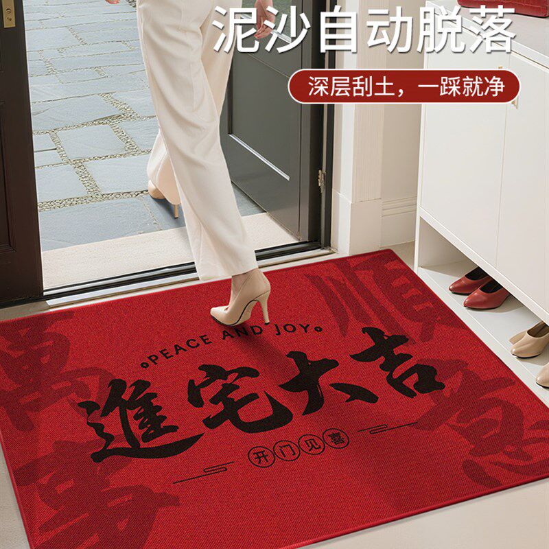 入户门地垫2025新款玄关高端耐脏地毯大门口除尘门垫室内进门地毯