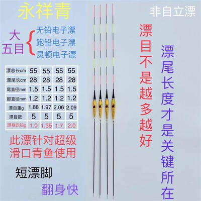 永祥青 大五目电子漂(不能自立)无铅漂跑铅漂灵顿漂水无影夜光漂
