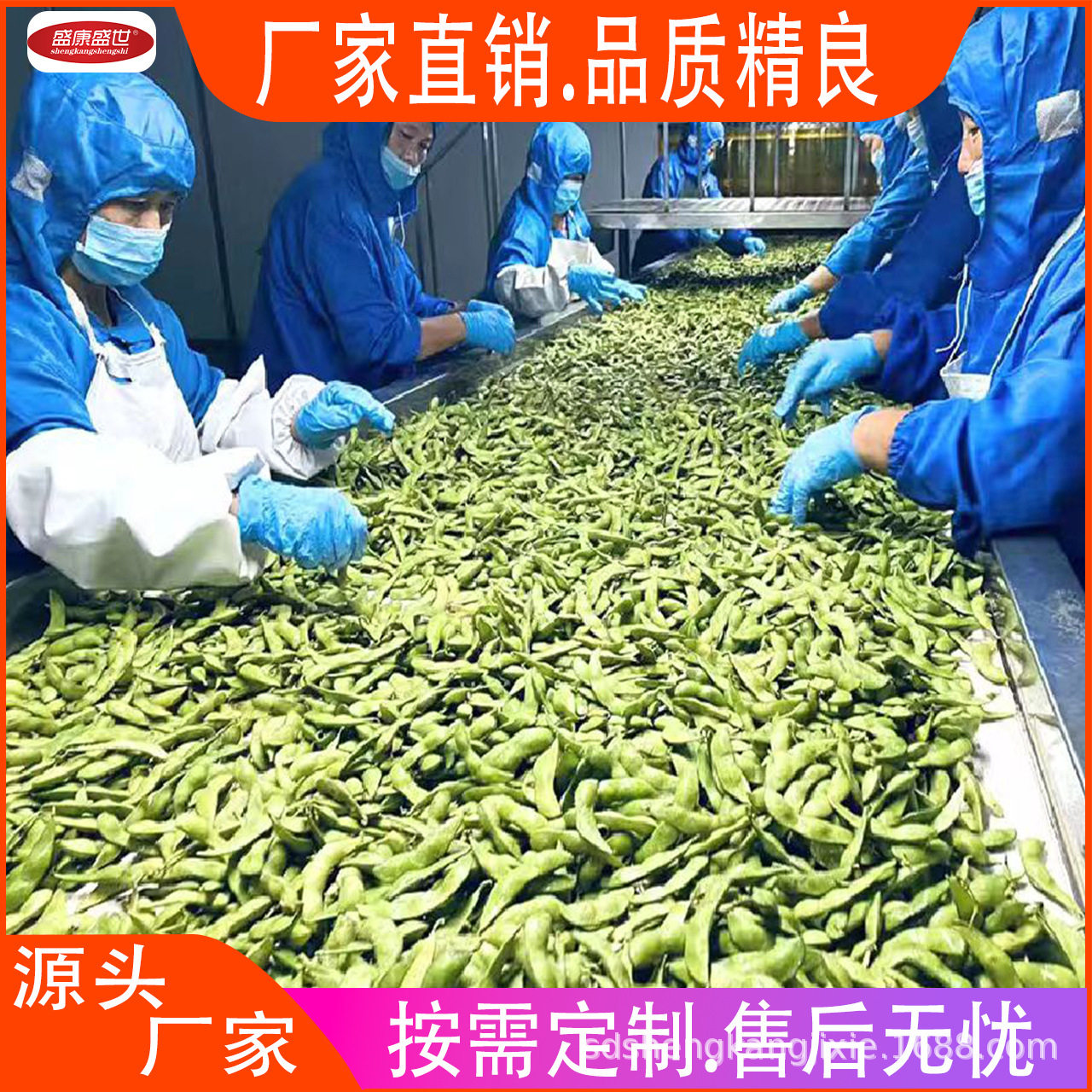 全自动叶菜清洗加工流水线 菌菇气泡清洗机 喷淋式大姜清洗设备