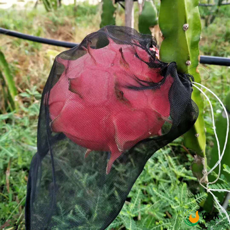 火龙果专用尼龙防虫防鸟网袋