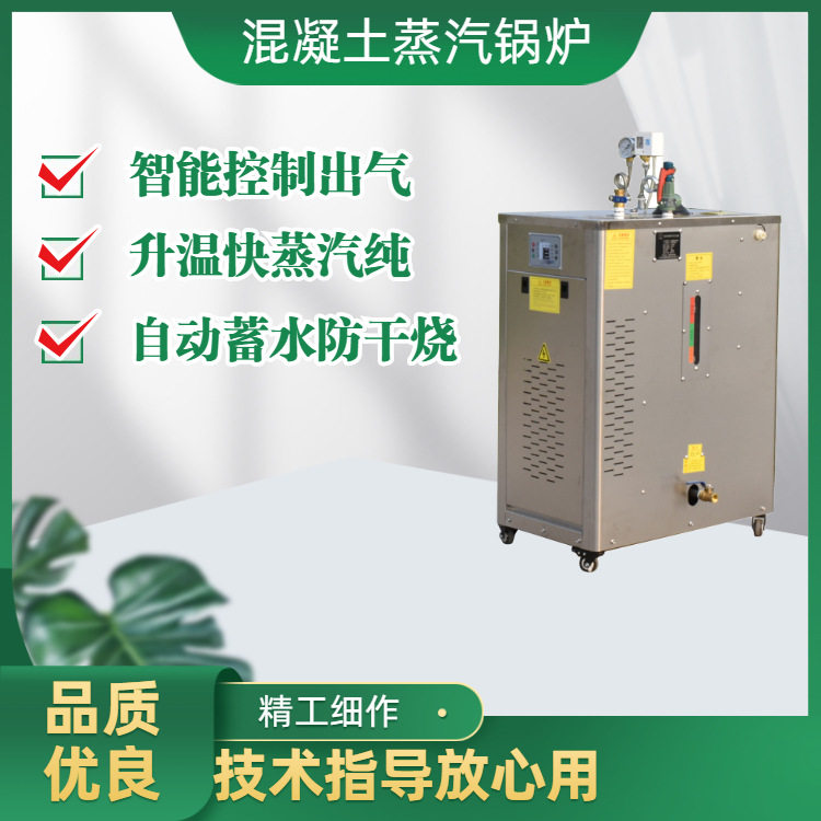 智能操作电加热蒸汽发生器 48kw桥梁养护蒸汽机 混凝土蒸养机