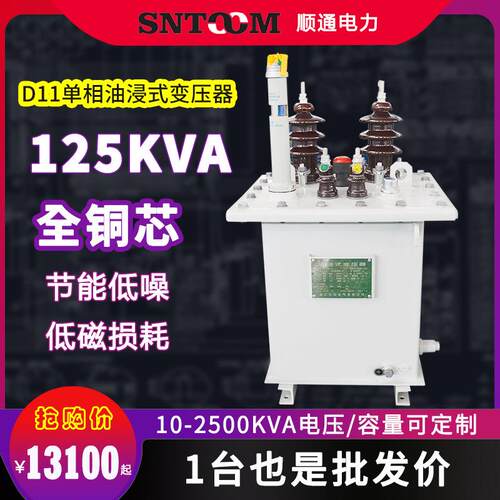 10kv/D11单相油浸式电力配电变压器250工业315/400/630全铜125kva
