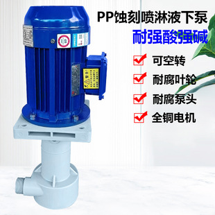 CMN 泵PP液下泵化学镍槽内立式 50VK TI钛轴可空转立式 泵 胜川宝