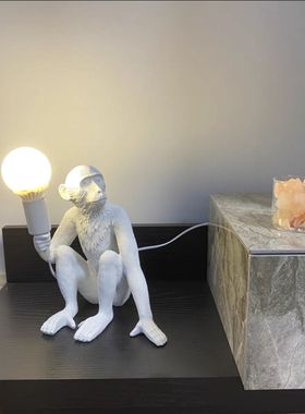 北欧树脂麻绳猴子壁灯儿童房酒吧餐厅走廊店面装饰灯动物猴子吊灯