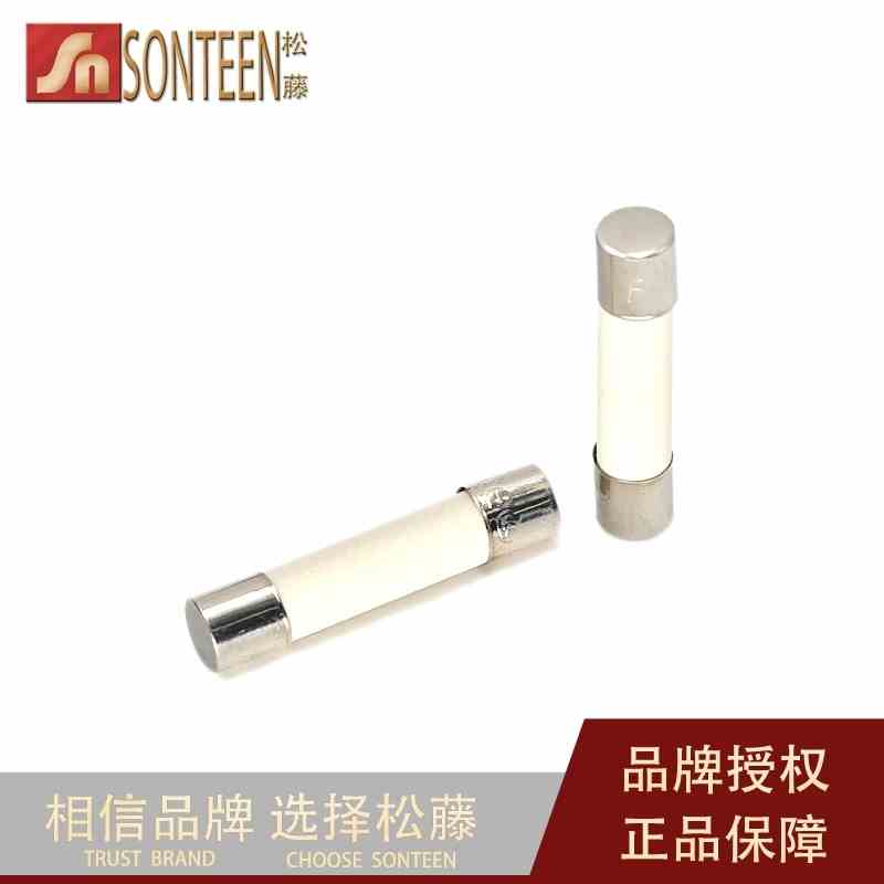 陶瓷保险管 保险丝 6*30MM 250V 15A（20只）