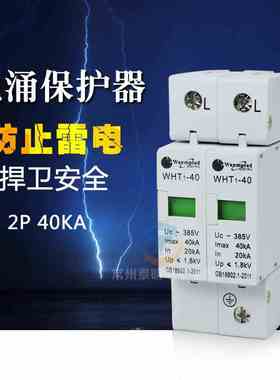 220V浪涌保护器 防雷器 避雷器 SPD电涌保护器2P 40KA 家用型 2路