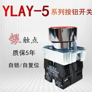 YLAY5-BE101C-BE102C平头按钮启动开关代替ZB2-BE101C-BE102C银点