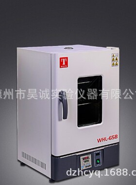 泰斯特 WHL-125B(D)数显立式电热恒温干燥箱实验室烘烤高温箱