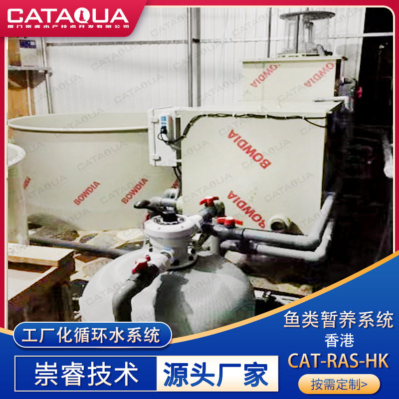 崇睿香港鱼类暂养项目工厂化循环水系统水产养殖水处理过滤设备
