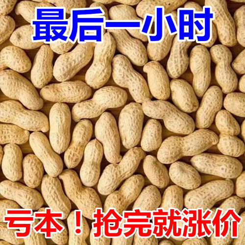 【爆卖了】新货现炒现发铁锅原味炒花生特产柴火沙炒带壳花生5斤