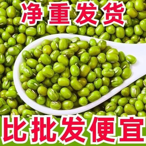 绿豆农家自产自销出沙笨小绿豆生豆芽打豆浆 新货特惠5斤散装包邮