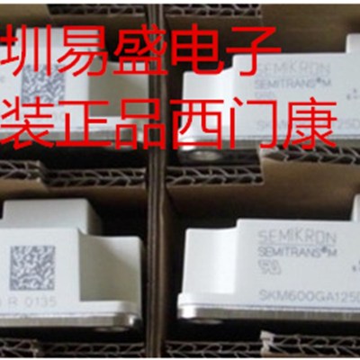 SKM600GA176D SKM400GA173D SKM400GA124D SKM300GA123D