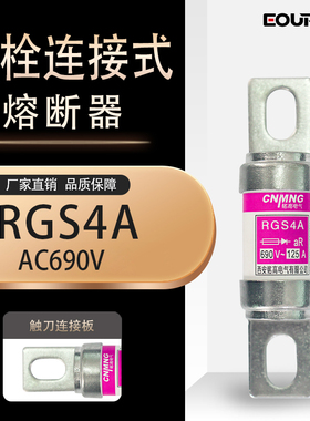 快速熔断器RGS4A 660/690V100A125A 150A 160A 200A 660GH熔管