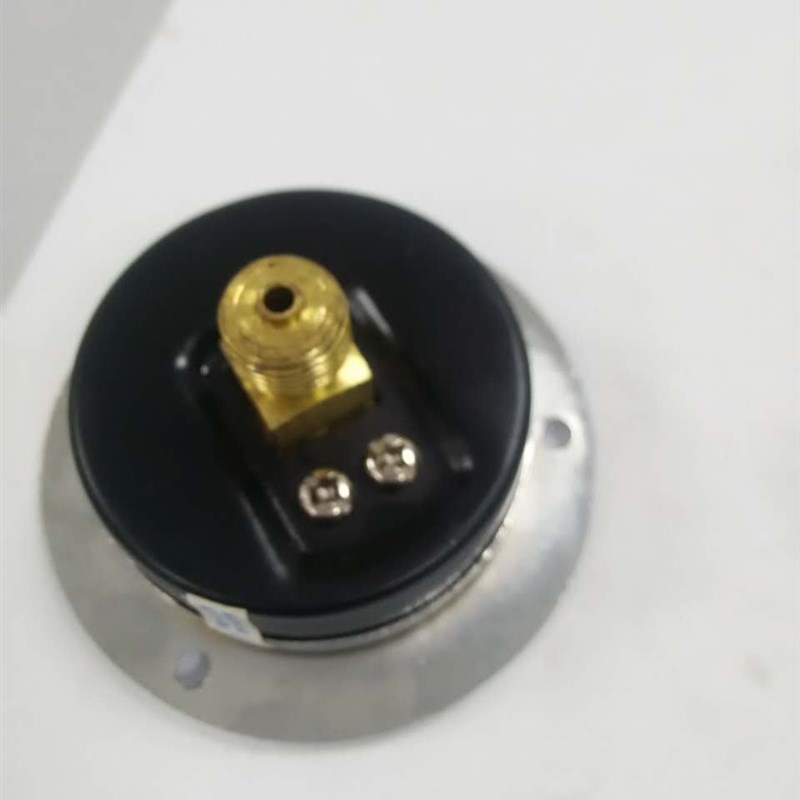 轴向压力表卧式侧装气压表 Y-60ZT带边面板水压 气压上海天川仪表