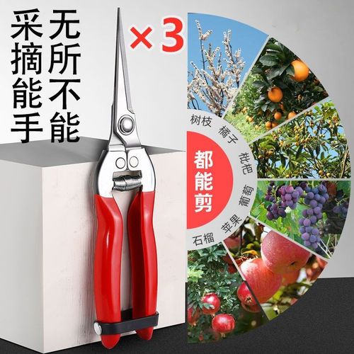 进口不锈钢摘果剪园艺剪刀修枝剪葡萄火龙果剪采摘花椒神器专用剪