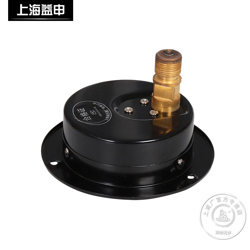 上海减压器厂Y-100ZT 0-2.5MPA普通压力表 轴向带边压力表 气压表